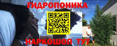спиды Ливны